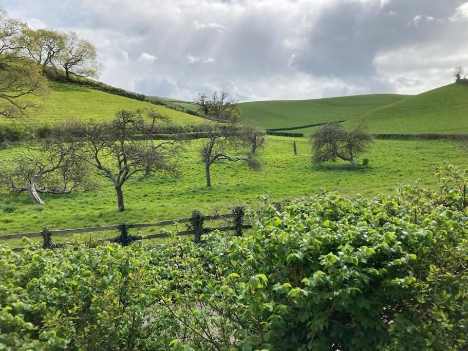 Charming Countryside Cottage Ground Floor Apartment In Combeinteignhead Devon Bishopsteignton Dış mekan fotoğraf