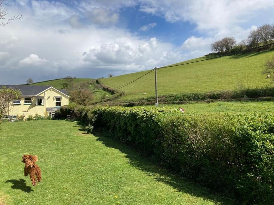 Charming Countryside Cottage Ground Floor Apartment In Combeinteignhead Devon Bishopsteignton Dış mekan fotoğraf